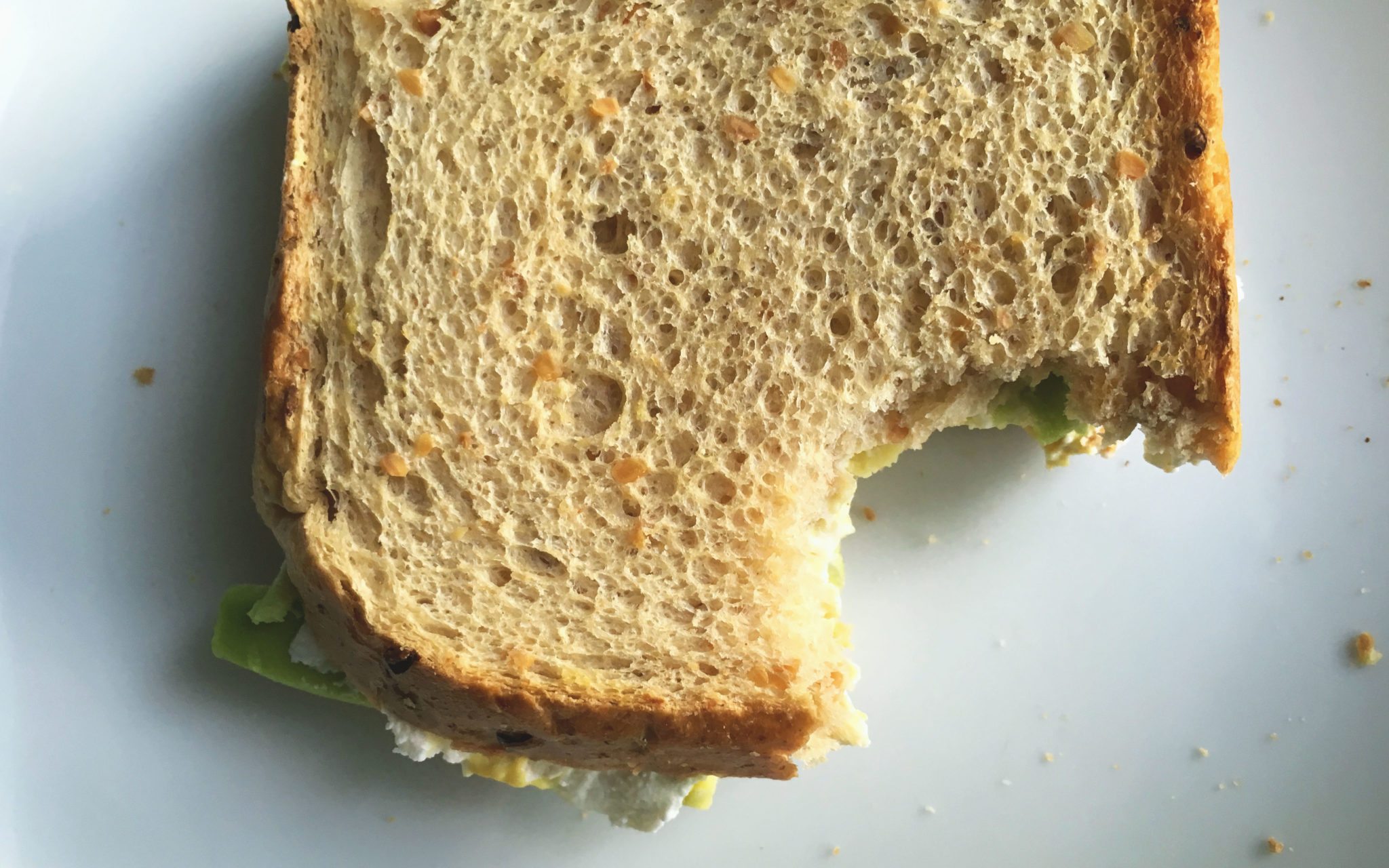 toast-gourmet-avocado-alto