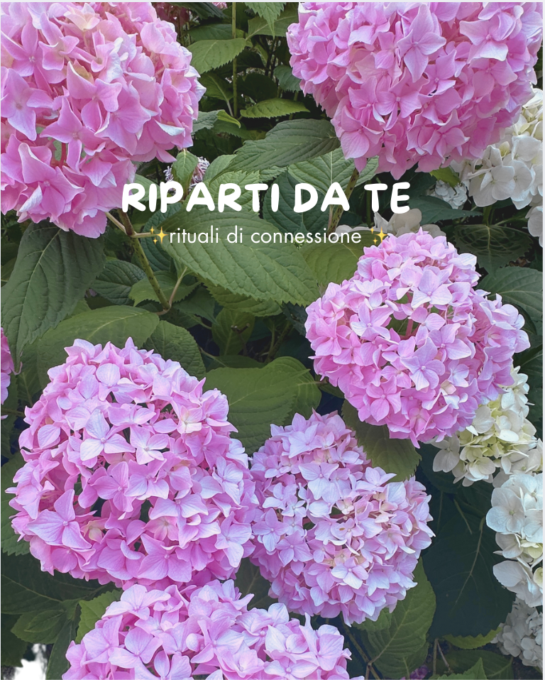 riparti da te_francesca gonzales