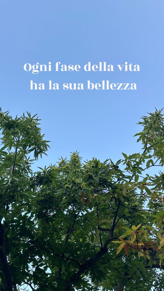 🌕 Come la luna, anche noi viviamo a cicli.
A volte siamo luce piena, a volte ci ritiriamo per rigenerarci, ma ogni fase va vissuta.

Ieri sera, sotto la luna piena e in mezzo ad un castagneto, abbiamo passato una serata speciale, ricca di connessioni. 

Io ho partecipato con un esercizio semplice ma potente: osservare le aree della nostra vita che oggi sono “piene” e quelle che invece hanno bisogno di essere nutrite.

Quando sappiamo dove siamo, possiamo scegliere come agire: cosa coltivare, cosa lasciare andare e cosa semplicemente accogliere.
È il primo passo per vivere con più equilibrio, presenza e gratitudine.

✨ Se vuoi fare anche tu questo check e scoprire come sta la tua Ruota Lunare, scrivimi in DM e te la mando.

Ogni fase ha la sua bellezza 🌝

#Ciclidellavita #fasilunari #ruotadellavita #coachingconsapevole #crescitapersonale